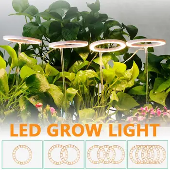 Растительная лампа Dc5v Angel Ring Led Grow Lamp для выращивания рассады комнатных растений Свет полного спектра Водонепроницаемый Портативный Usb Зарядка