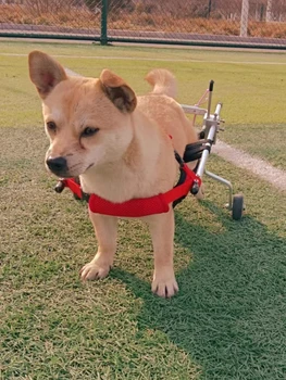 Инвалидная коляска для маленькой собаки с ограниченными возможностями задней конечности, Паралич инвалидной коляски для собак/кошек, Паралич пожилых собак, самокат для собак, большой вспомогательный